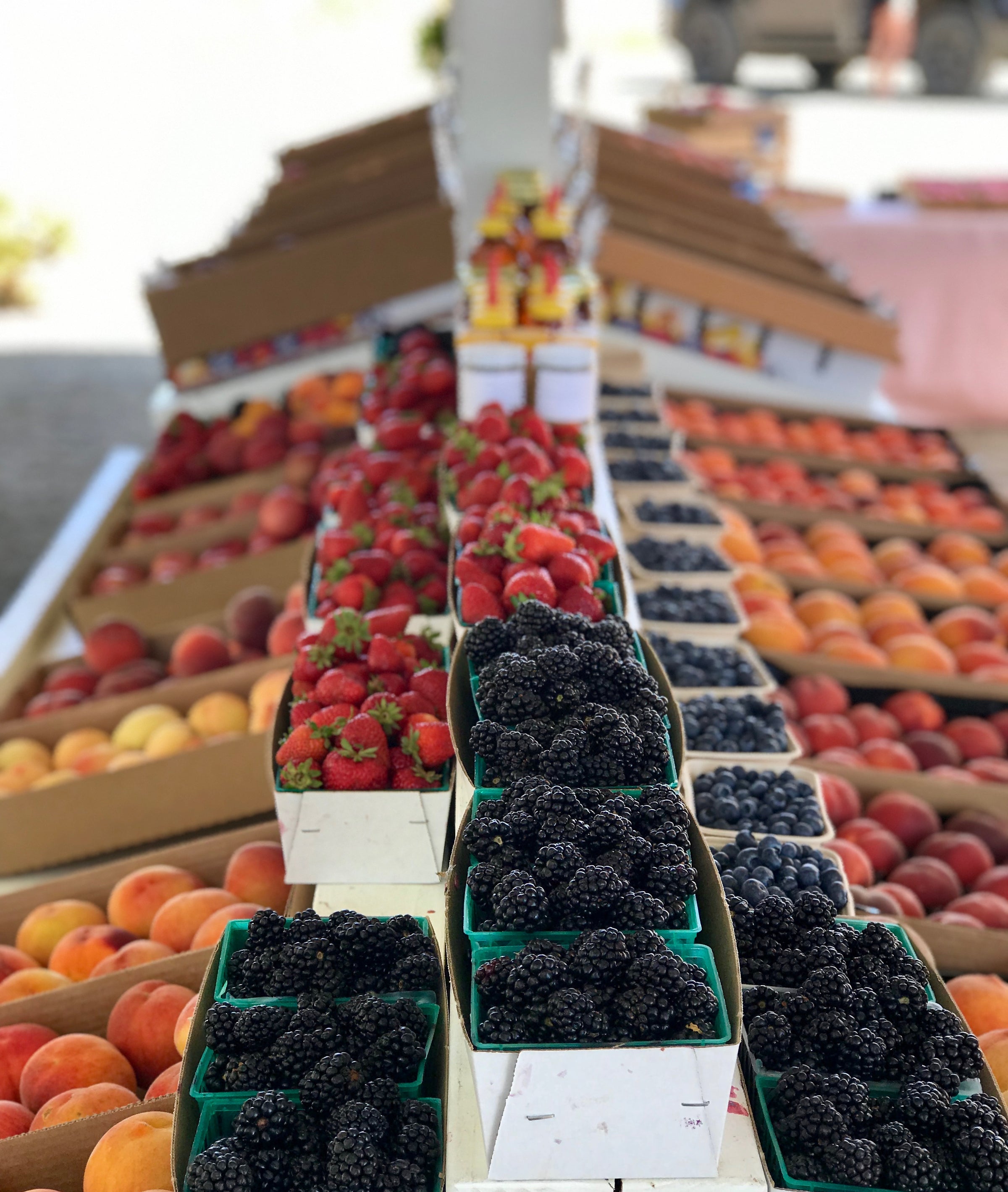 Gallery | Tony's Fruit Stand